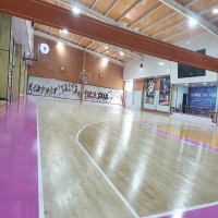 山西斯沃迪羽團運動木地板完工